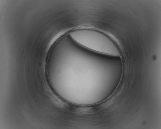 X0000093411325200710120908