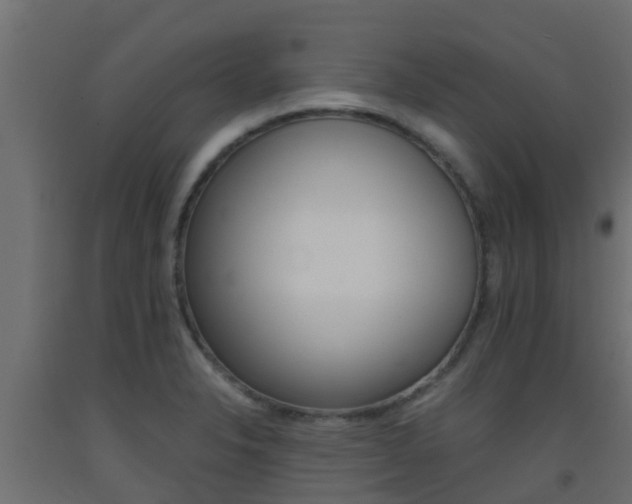 X0000093411326200710120908