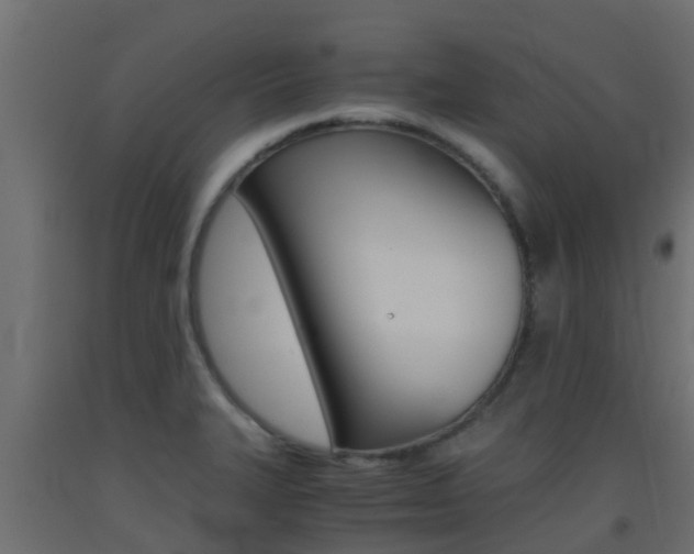 X0000093411327200710120908