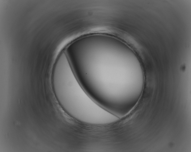 X0000093411328200710120908
