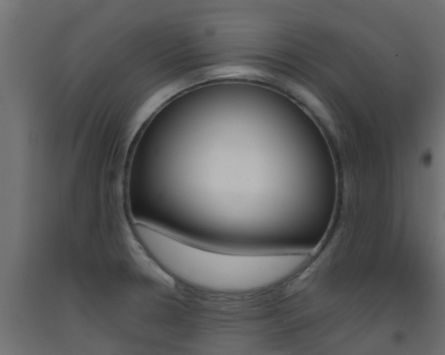 X0000093411330200710120908