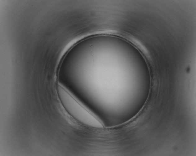 X0000093411332200710120908