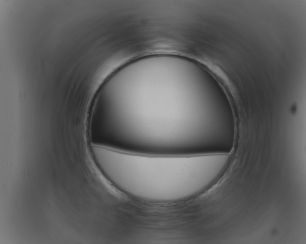 X0000093411333200710120908