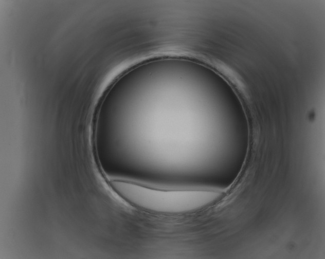 X0000093411334200710120908