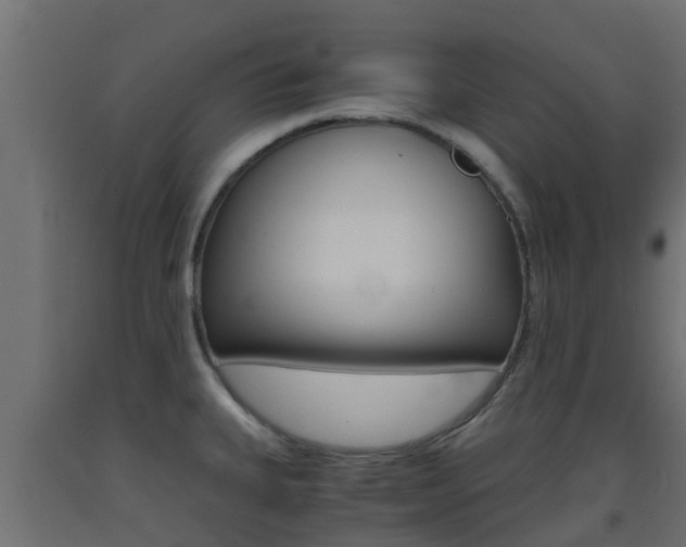 X0000093411335200710120908