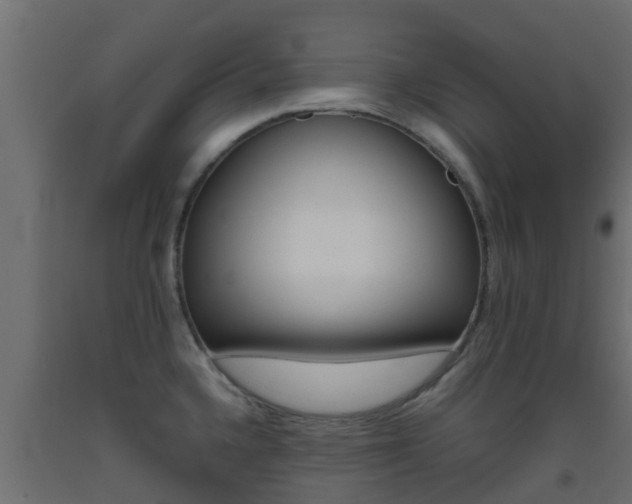 X0000093411336200710120908