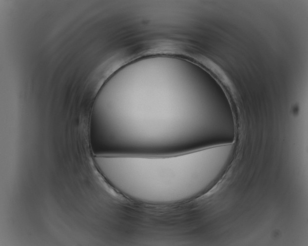 X0000093411337200710120908