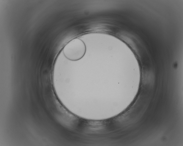 X0000093411338200710120908
