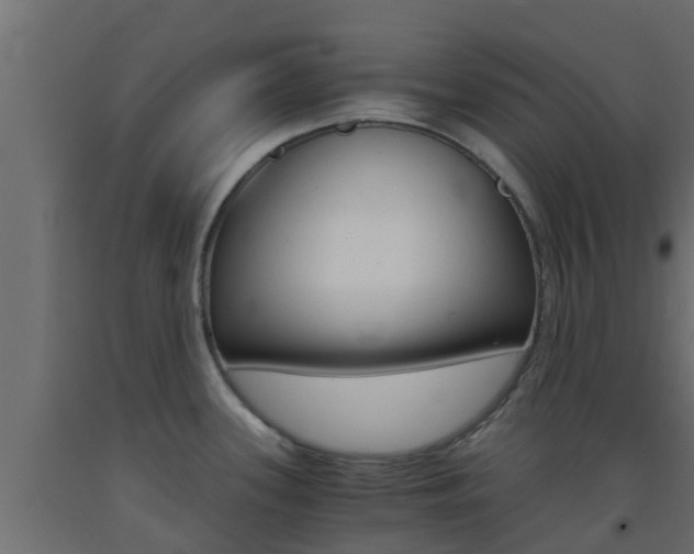 X0000093411339200710120908