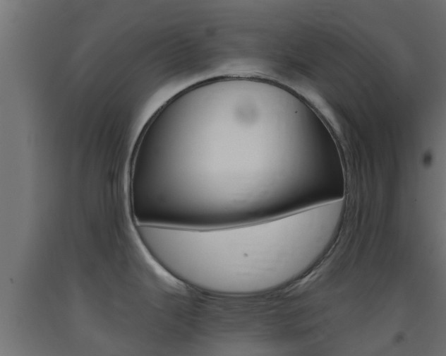 X0000093411343200710120908