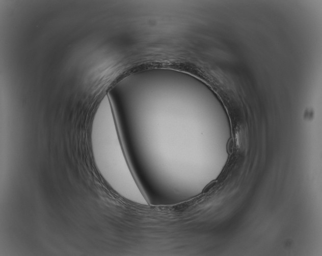 X0000093411347200710120908