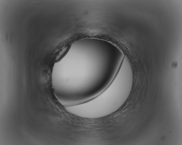X0000093411349200710120908