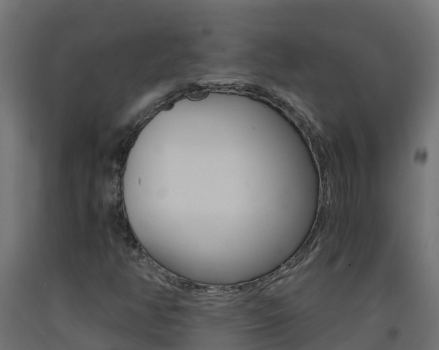 X0000093411350200710120908
