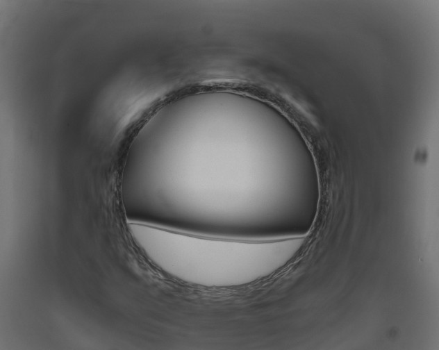 X0000093411351200710120908