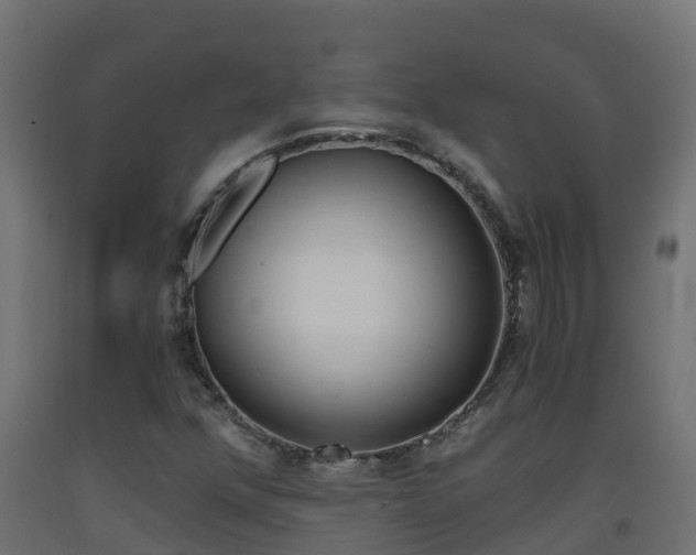 X0000093411352200710120908