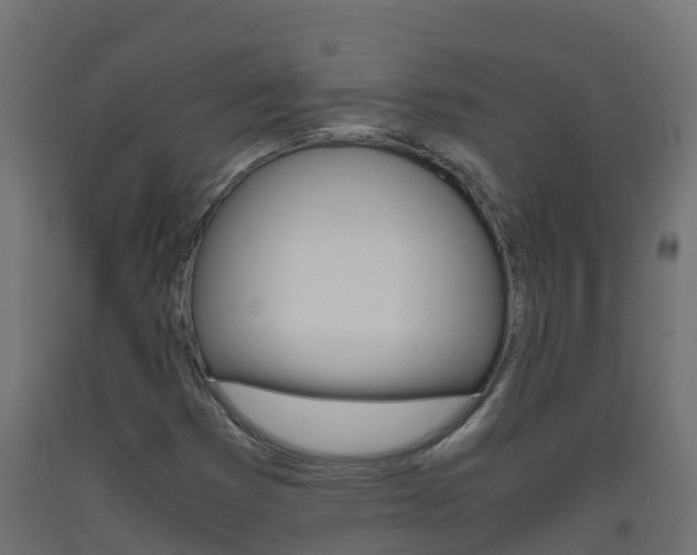 X0000093411353200710120908