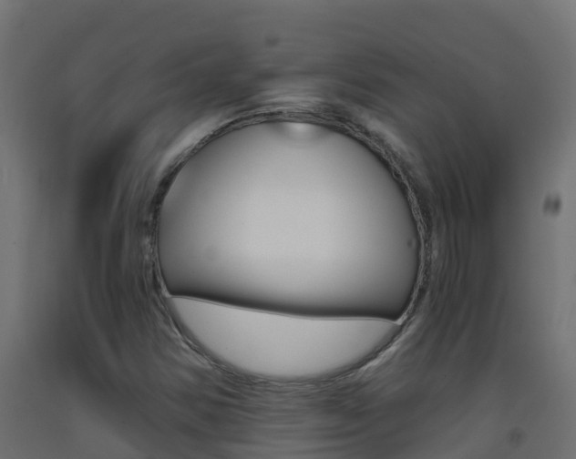 X0000093411354200710120908