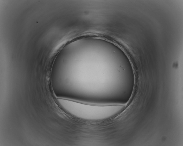 X0000093411355200710120908