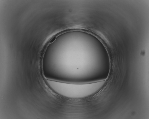 X0000093411356200710120908