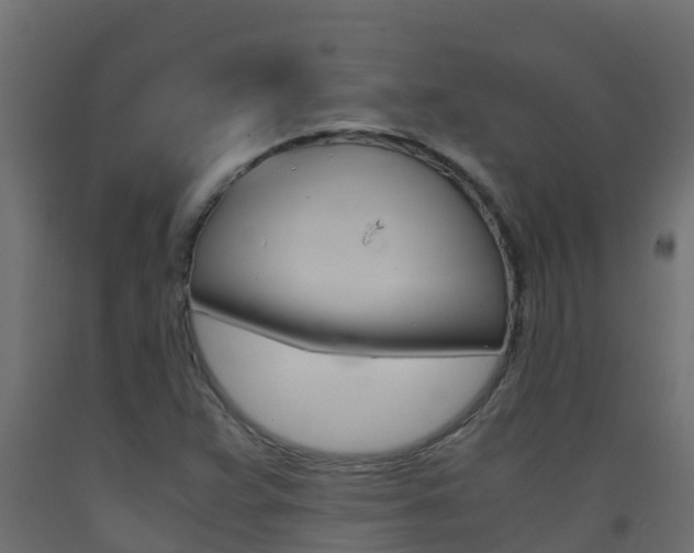X0000093411359200710120908