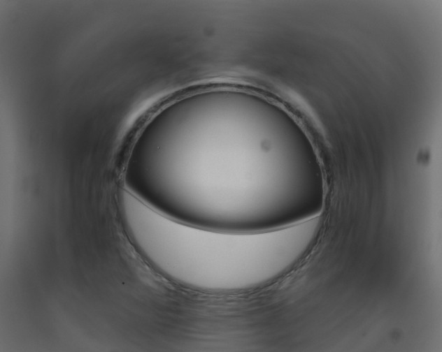 X0000093411360200710120907