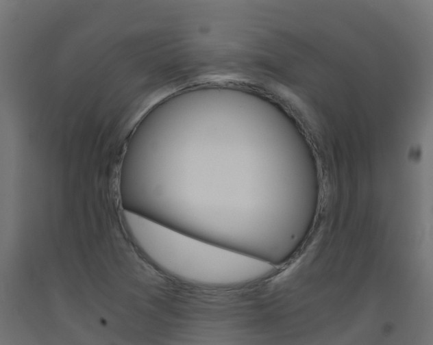 X0000093411361200710120907