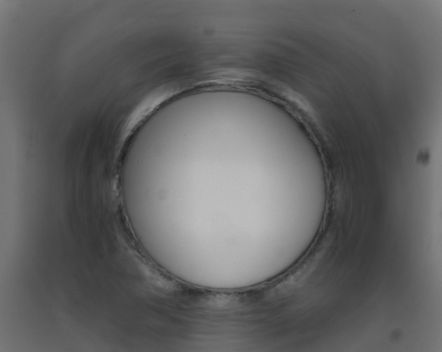 X0000093411362200710120907