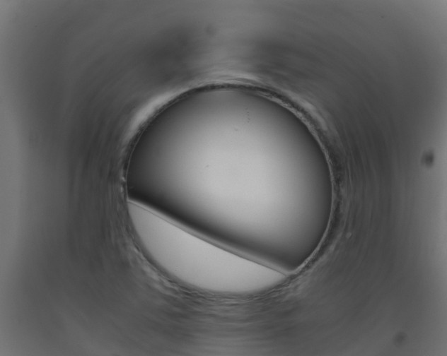 X0000093411363200710120907