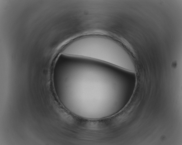 X0000093411364200710120907