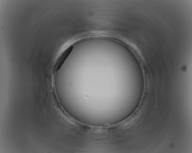X0000093411365200710120907
