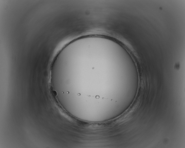 X0000093411366200710120907