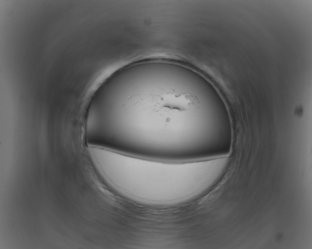 X0000093411367200710120907