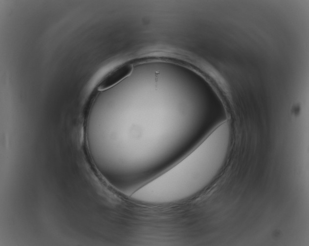 X0000093411368200710120907