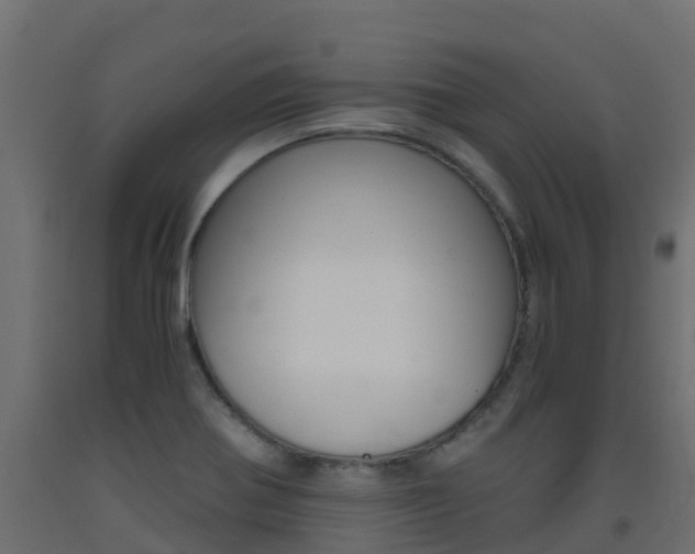 X0000093411370200710120907