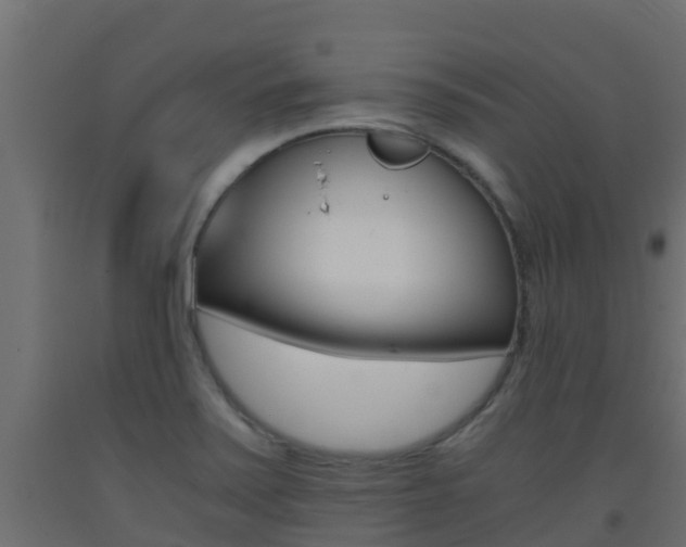 X0000093411371200710120907