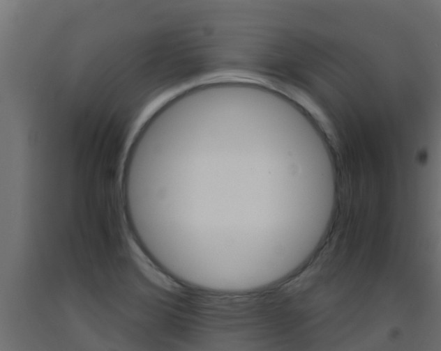 X0000093411372200710120907