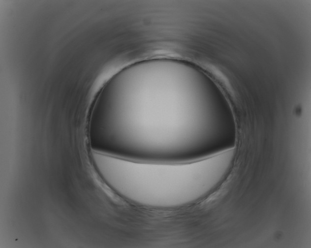 X0000093411373200710120907