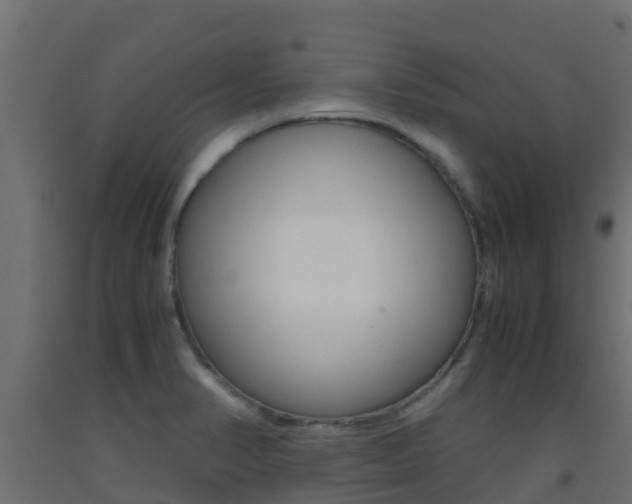 X0000093411374200710120907