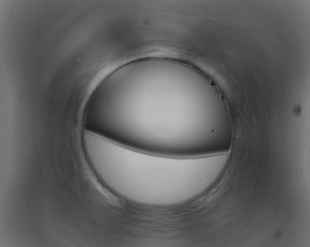 X0000093411375200710120907