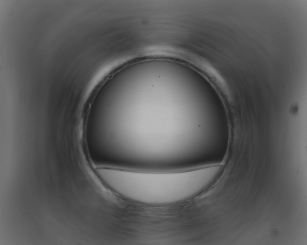 X0000093411376200710120907