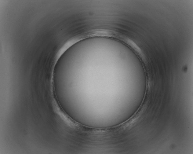 X0000093411378200710120907