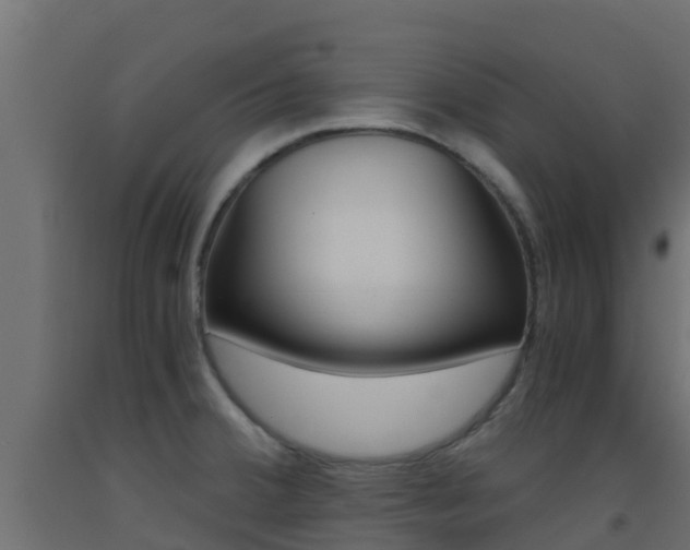 X0000093411380200710120907