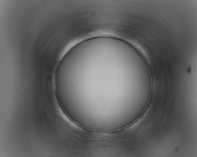 X0000093411382200710120907