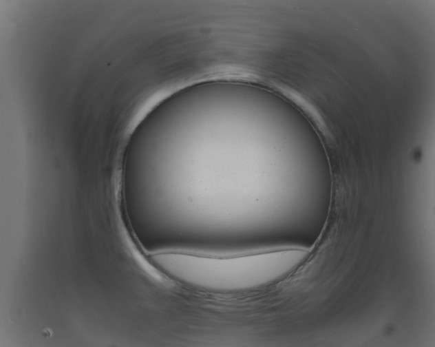 X0000093411383200710120907