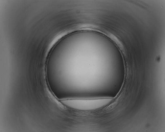 X0000093411384200710120907
