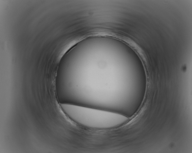 X0000093411385200710120907