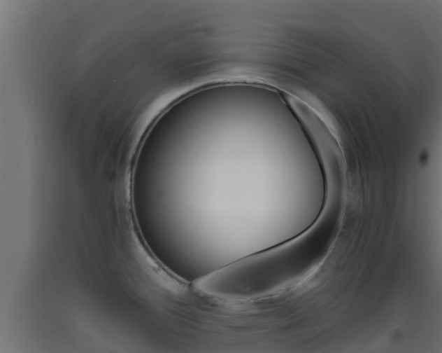 X0000093411388200710120907