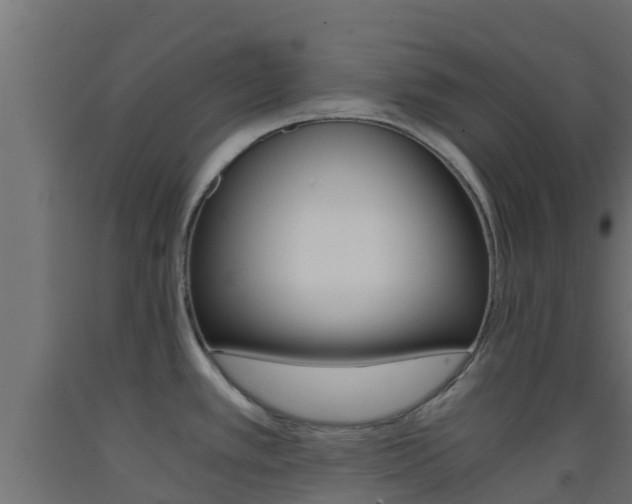 X0000093411389200710120907