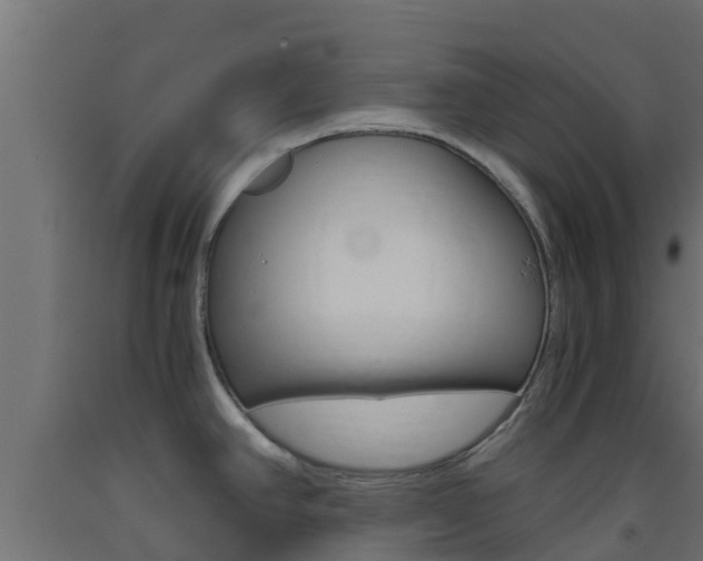 X0000093411390200710120907
