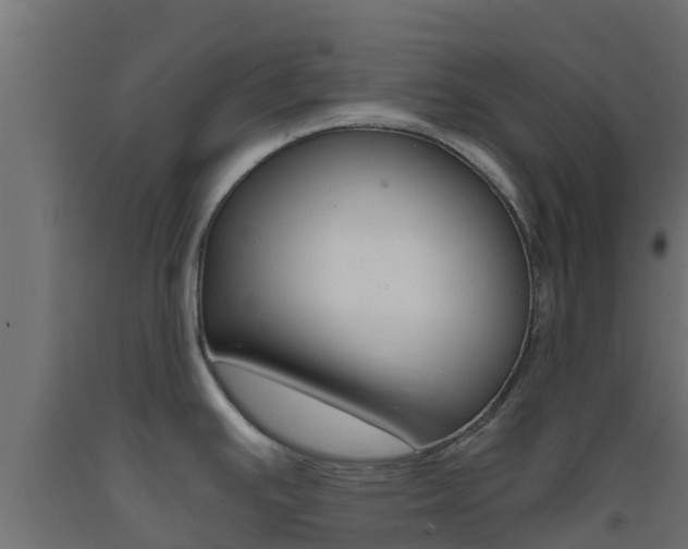 X0000093411391200710120907